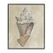 Stupell Industries Tan Toned Conch Shell Framed Giclee By Michael Willett